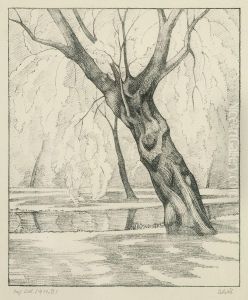Weide Am Ufer (englischer Garten)