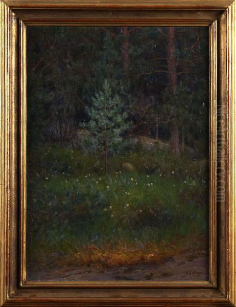 Myrmark I Skogen - view 1