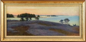 Svartlogafjorden by Elias Erdtman
