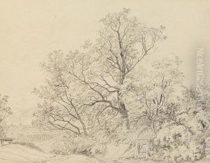 Lanschaftsstudien by Johann Christoph Erhard