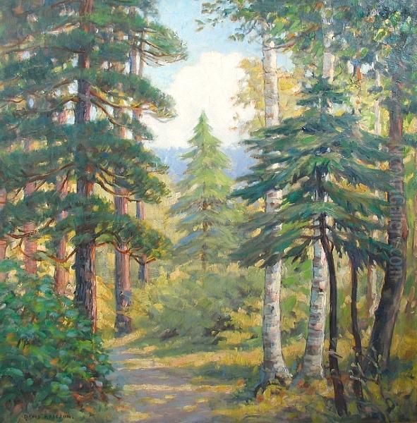 A Forest Path - view 1