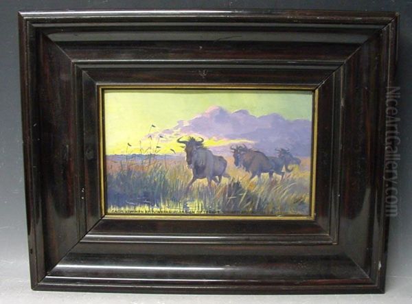 Gnus Bei Sonnenaufgang An Der Tranke , Sud-west Afrika - view 1