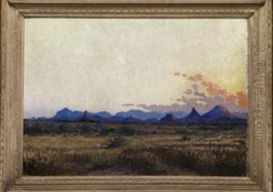 Sudafrikanische Landschaft Bei Aufgehender Sonne