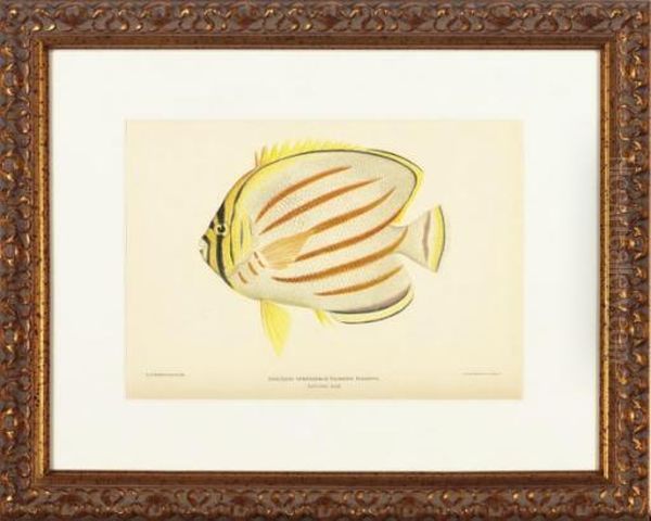 Six Plates - view 1