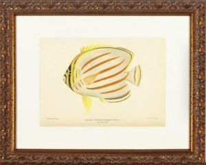 Six Plates by Dr. Barton W. Ermann