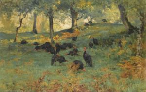 Turkeys In A Forest Landscape