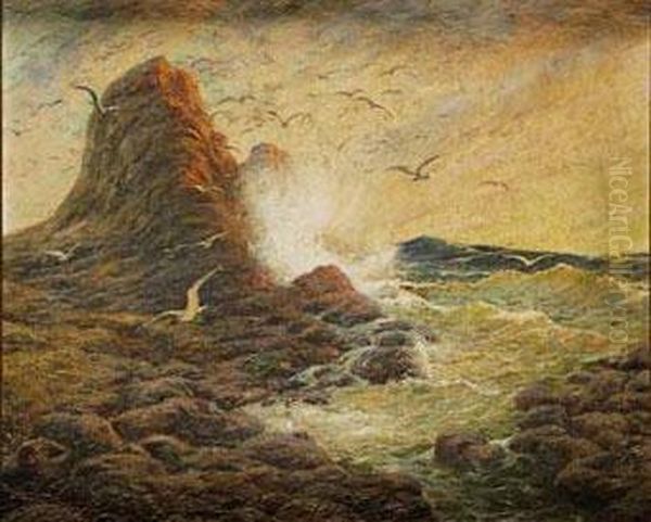 Costa Rocosa Con Gaviotas - view 1