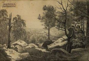 Paisaje Paisaje