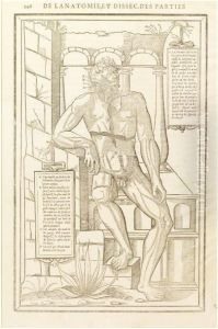 Dissectione Partium Corporis Humanae by Charles Estienne