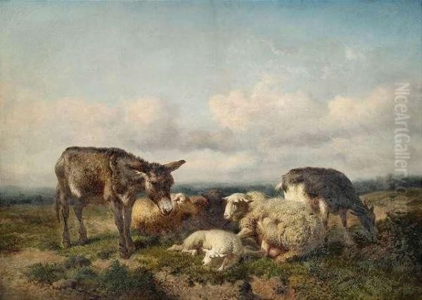 Flock Ofsheep And A Donkey In An Extensive Summery Landscape. - view 1