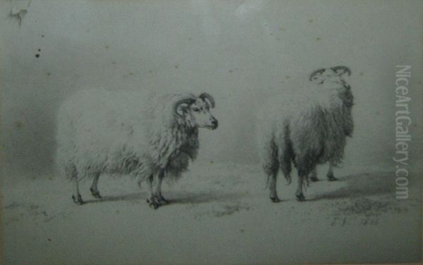 Deux Moutons Anglais - view 1