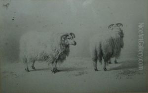 Deux Moutons Anglais by Eugene Verboeckhoven