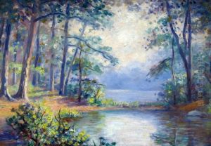 Forest Lake Forest Lake