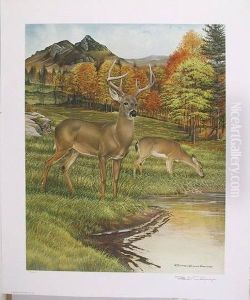 Portfolio: American Wildlife Heritage Portfolio by Evans, Richard