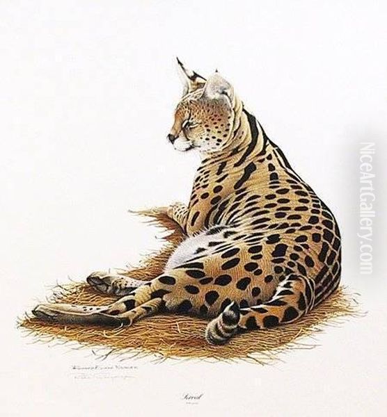 Serval - view 1