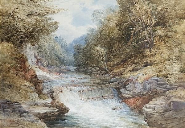 The Salmon Leap - view 1