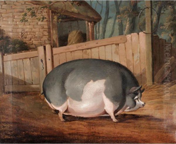 The Yorkshire Sow - view 1