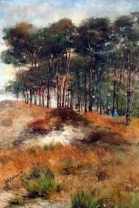 Paesaggio Con Pini Marittimi E Figure