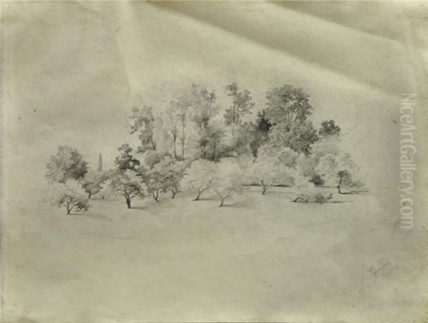 Baumgruppe - view 1