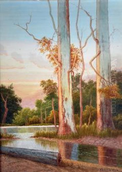 River Scene With Redgums - view 1