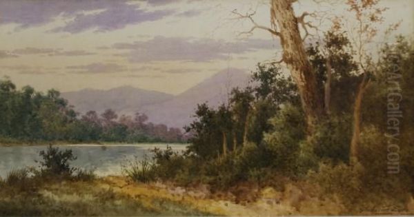 Landscape - view 1