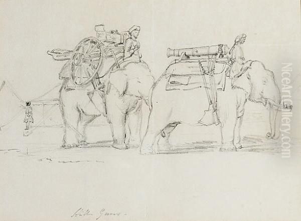 Cannon Being Transported By Elephant, India - view 1