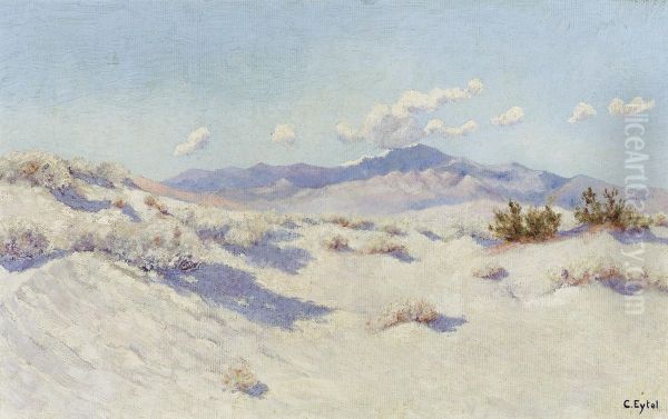 Palm Desert - view 1