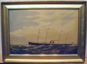 The Steamship 'arizona' by Max Fabian