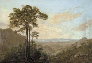 The Bay Of Rio Seen From The Road To Petropolis by Nicolau Antonio Facchinetti