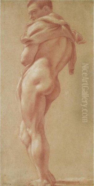 Standing Male Nude Seen From Behind - view 1