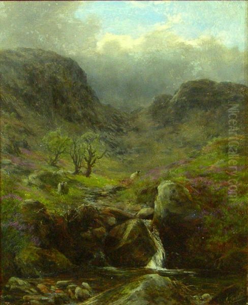 Sheep Above A Highland Brook - view 1