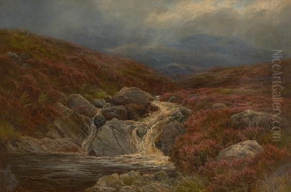 A Moorland Tarn - view 1