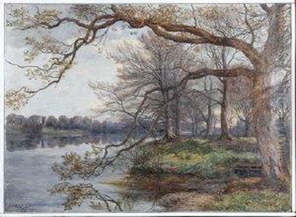 Trees By A River - view 1