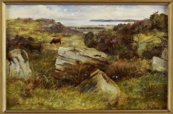 A Rocky Outcrop, Galloway - view 1