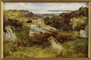 A Rocky Outcrop, Galloway