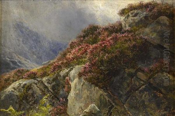 A Heather Covered Rocky Outcrop - view 1