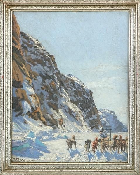 View From Greenland With Dog Sledge - view 1