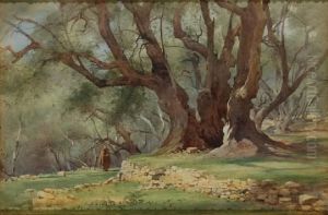 Brodighera by Edward Henry Fahey