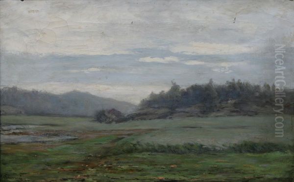 Landskap - view 1