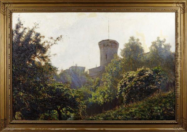 Landskap Medslott - view 1