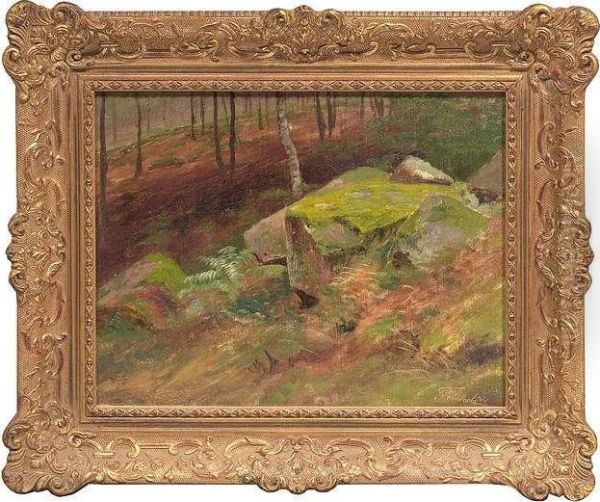 Woodsinside - view 1