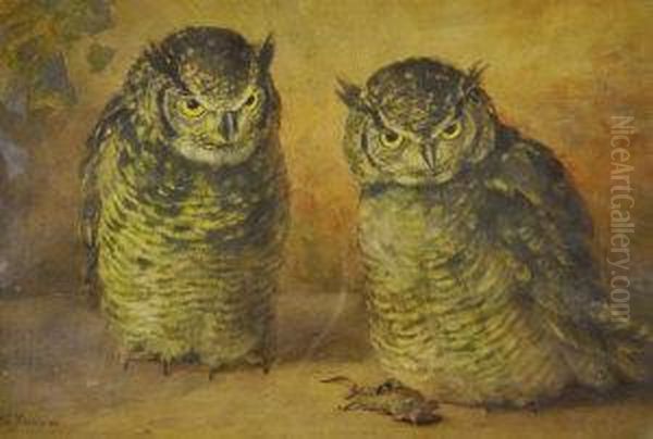 Owls With A Mouse - view 1