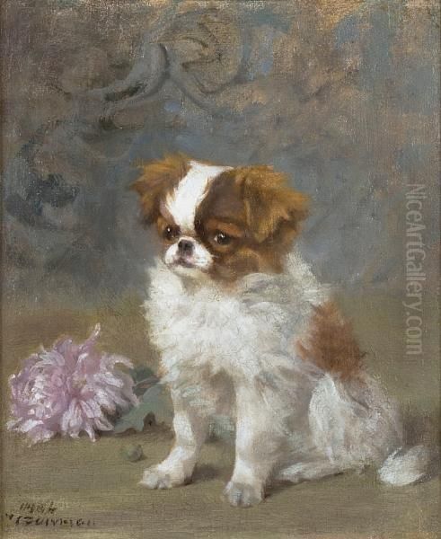 An English Toy Spaniel Puppy - view 1