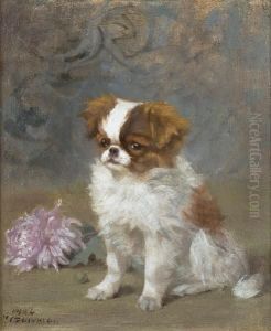 An English Toy Spaniel Puppy