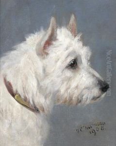 West Highland Terrier.