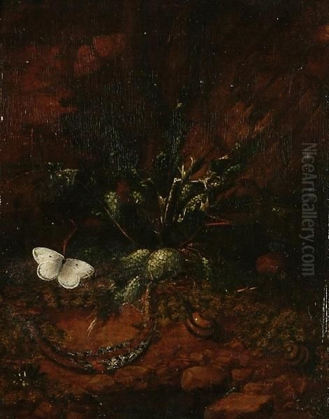 A Forest Floor Still Life With A Lizard, A Dragonfly And Two Butterflies; And A Forest Floor Still Life With A Lizard, Snails And Butterflies - view 1