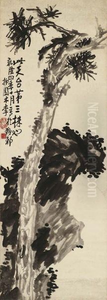 Pine And Rock - view 1