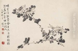 Chrysanthemums In Ink