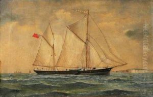 Study Of The Malvoisin At Sea