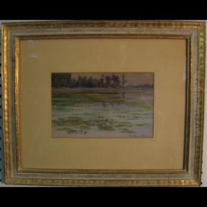 Tranquil Lake Scene With Water Lilies Tranquil Lake Scene With Water Lilies